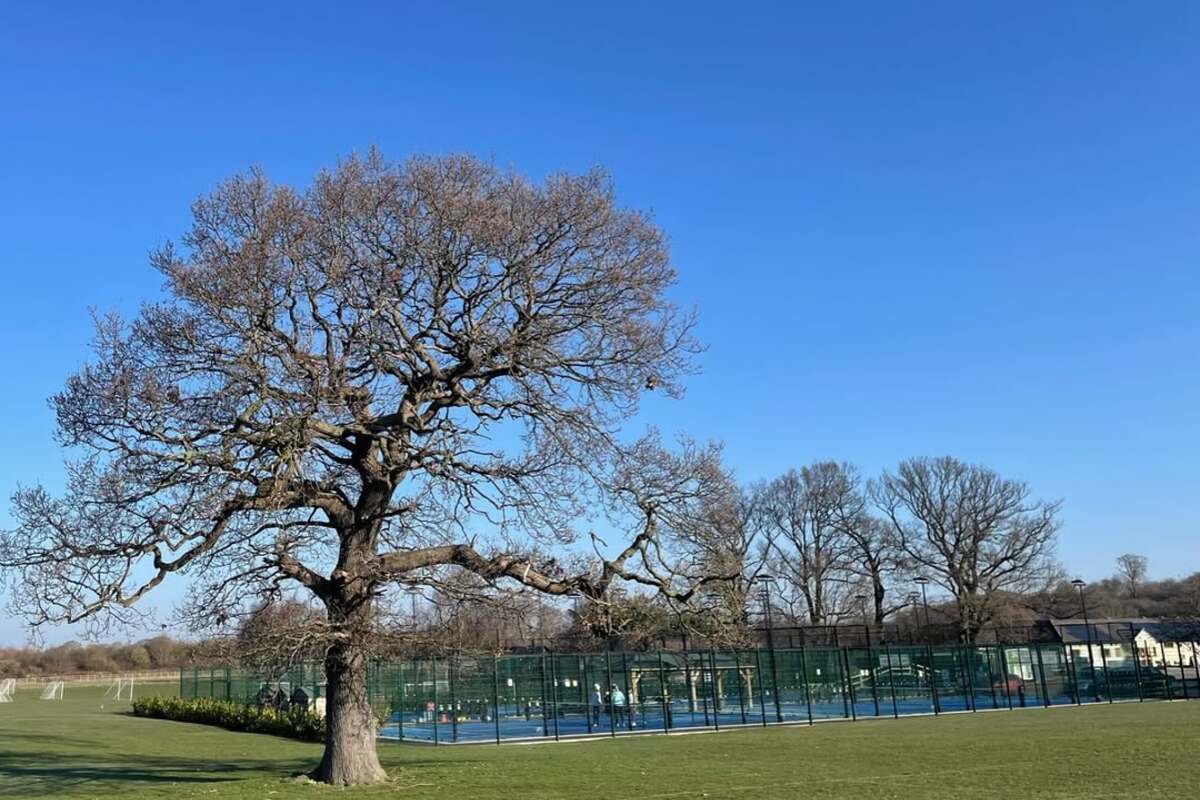 Wetherby Padel Club