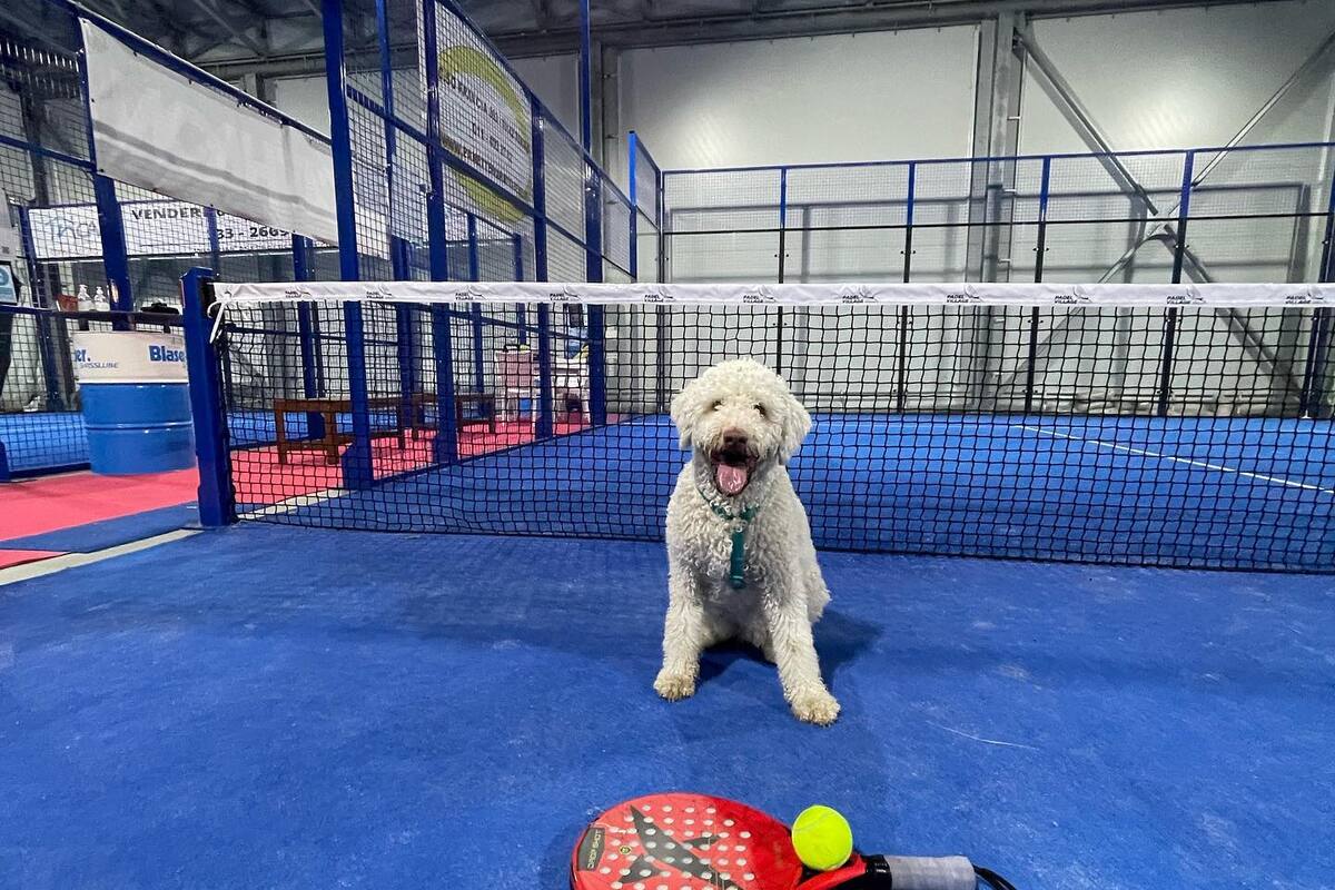 Padel Village Pianezza