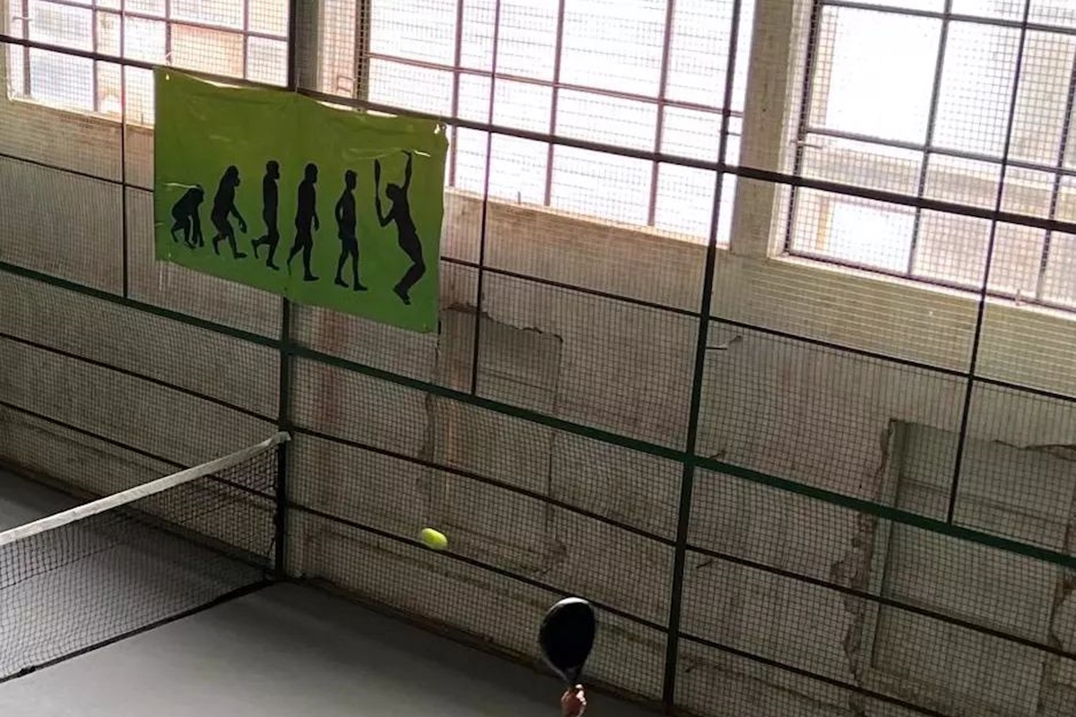 Padel Vida Viva