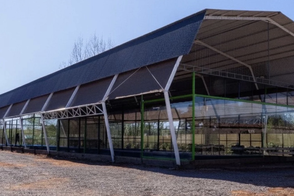 Padel Estación Tocornal