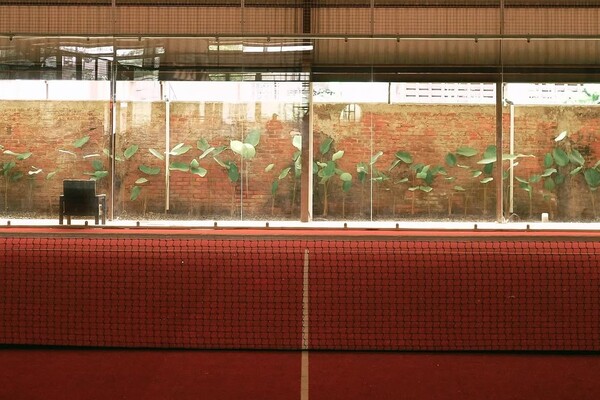 Kayoo Padel Court
