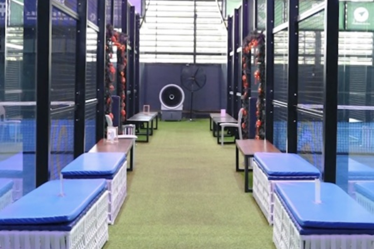 MB Sports