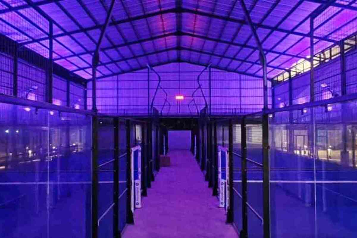 Padelvibe Indonesia