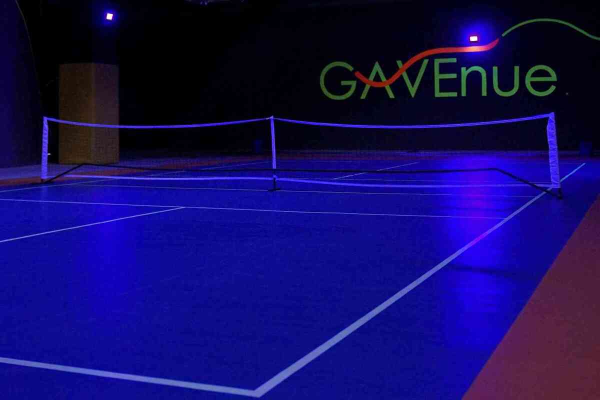 GAVECourt