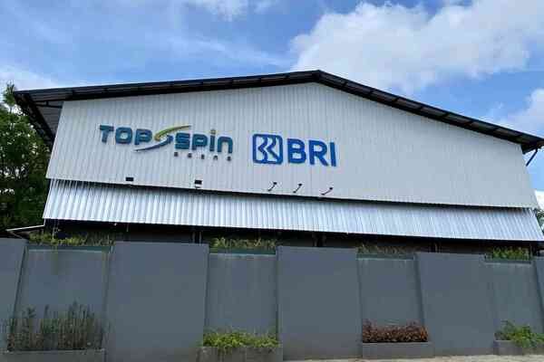 Top Spin Arena