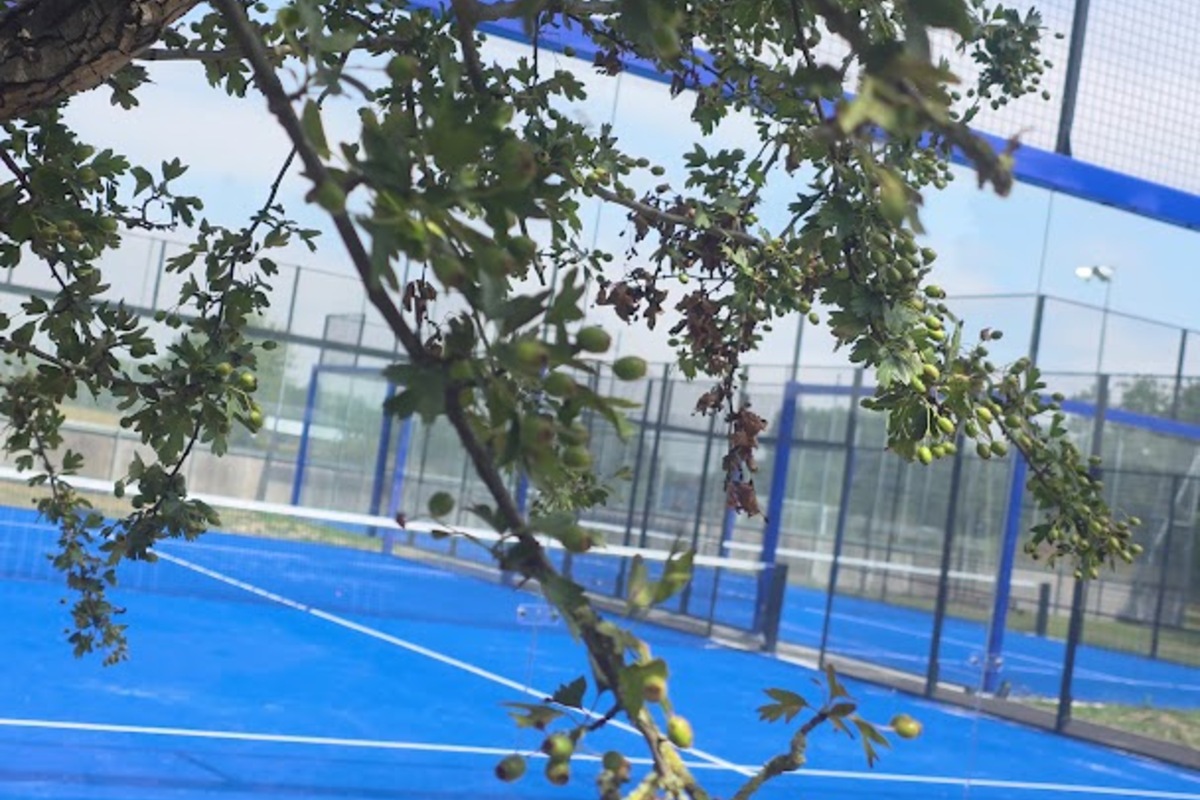 Driffield Padel Club, Kelleythorpe (3)