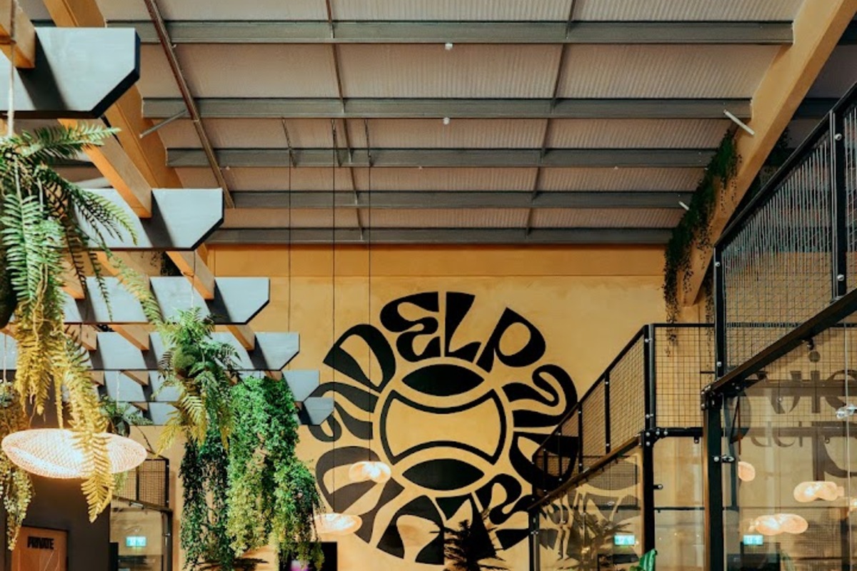 Vida Del Padel Chichester, Chichester (4)