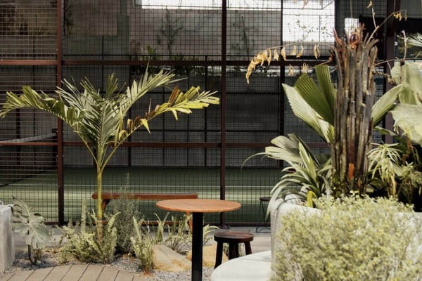 Tropical Padel