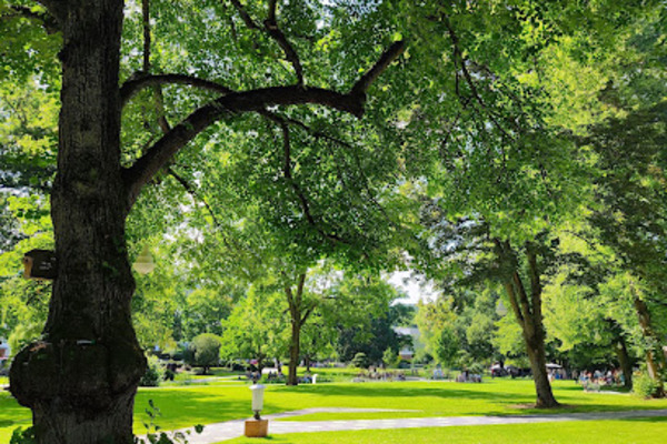 Alea Park