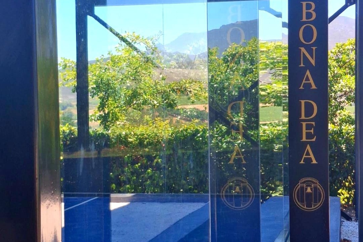 Bona Dea Padel Hub, Hermanus (7)