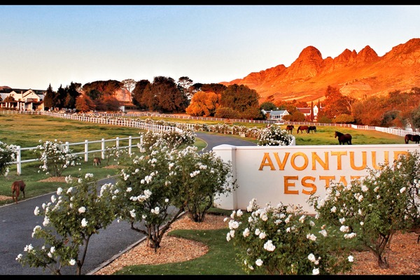 Avontuur Padel