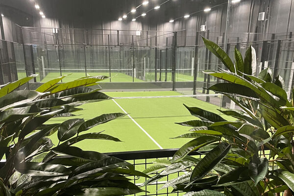 Bear Padel
