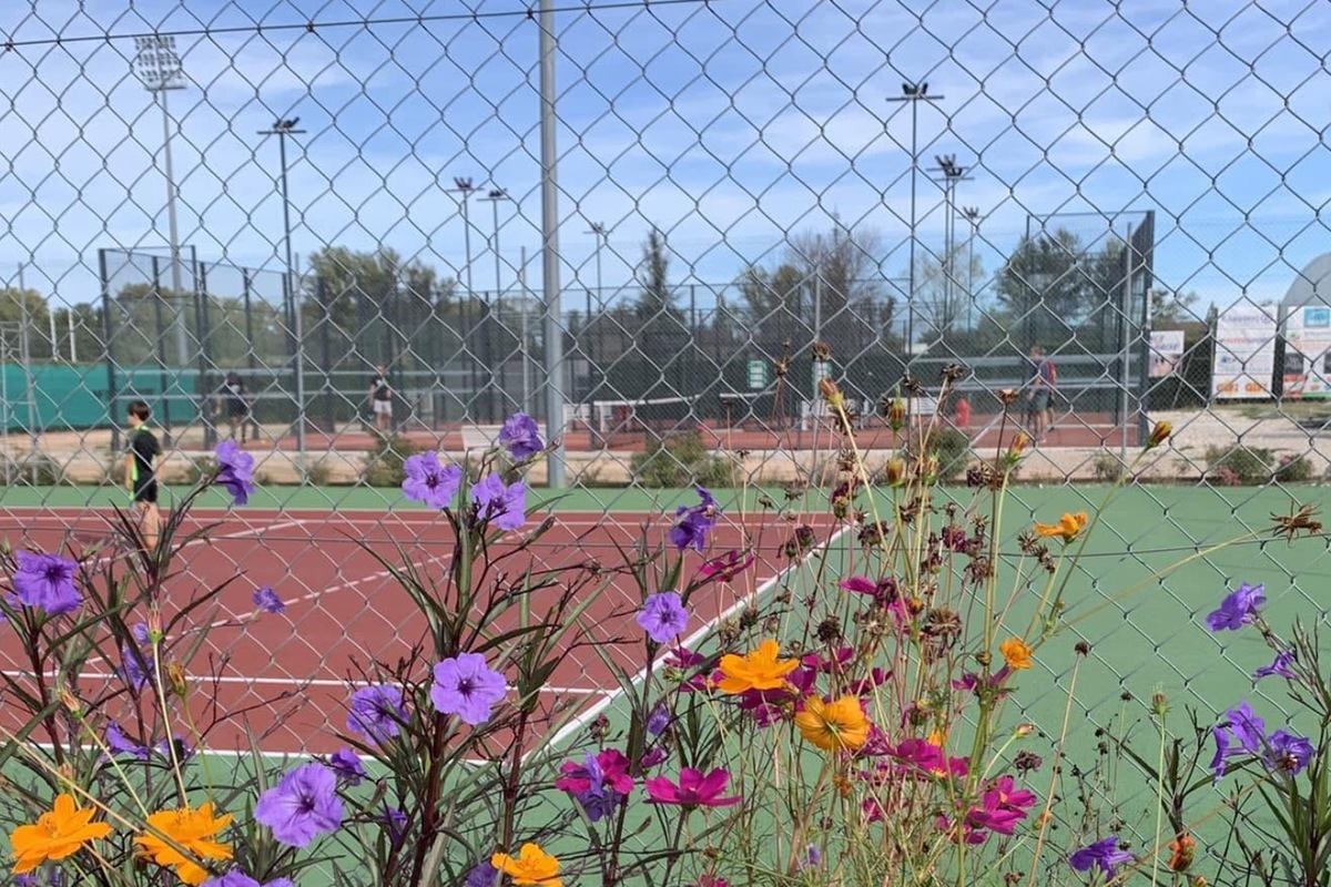 Tennis Padel Villeneuvois, Villeneuve-sur-Lot (2)