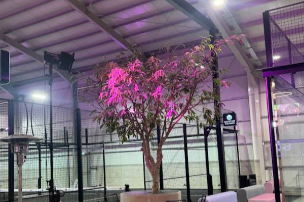 Block25 Padel Club