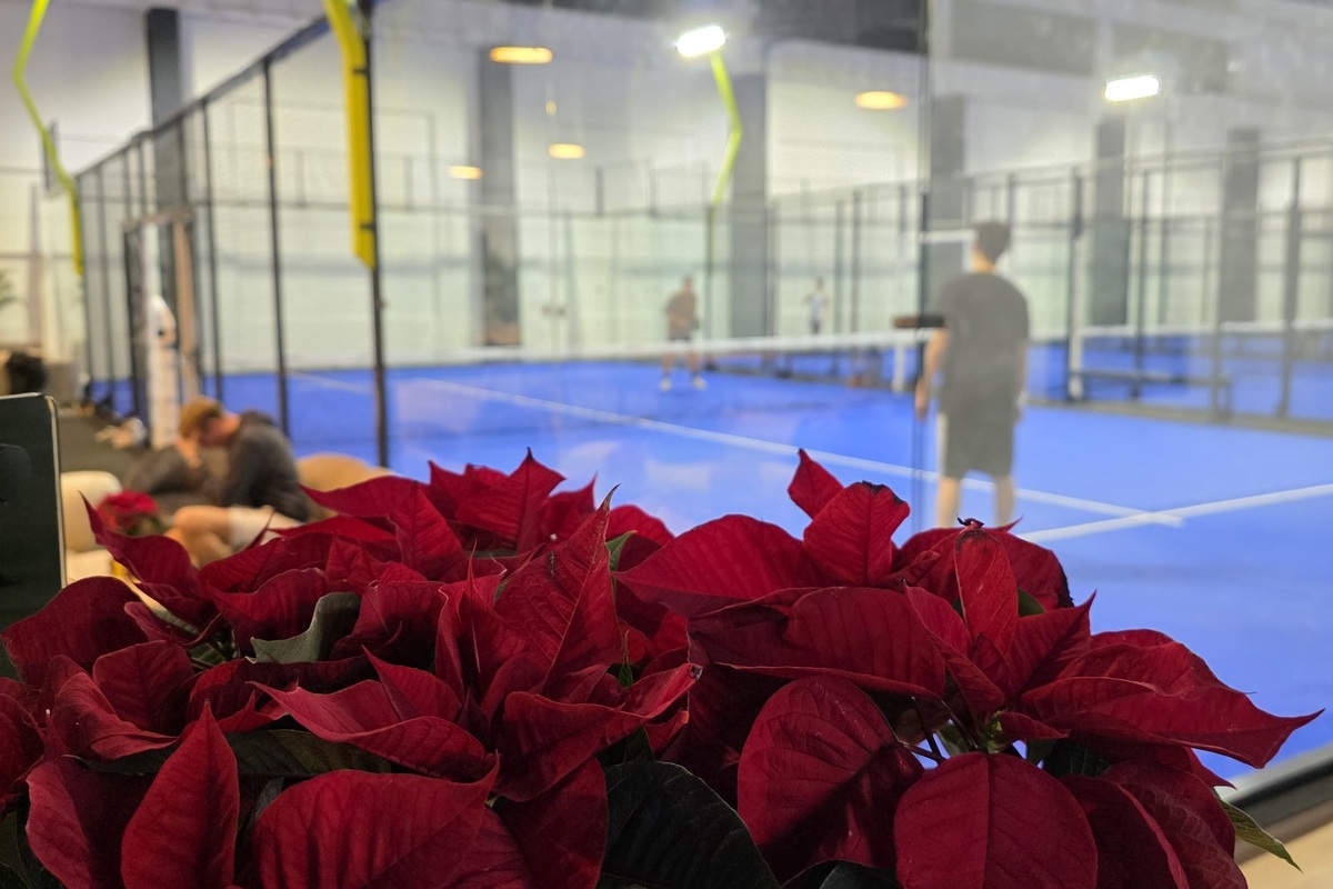 Padel Ludwigsfelde