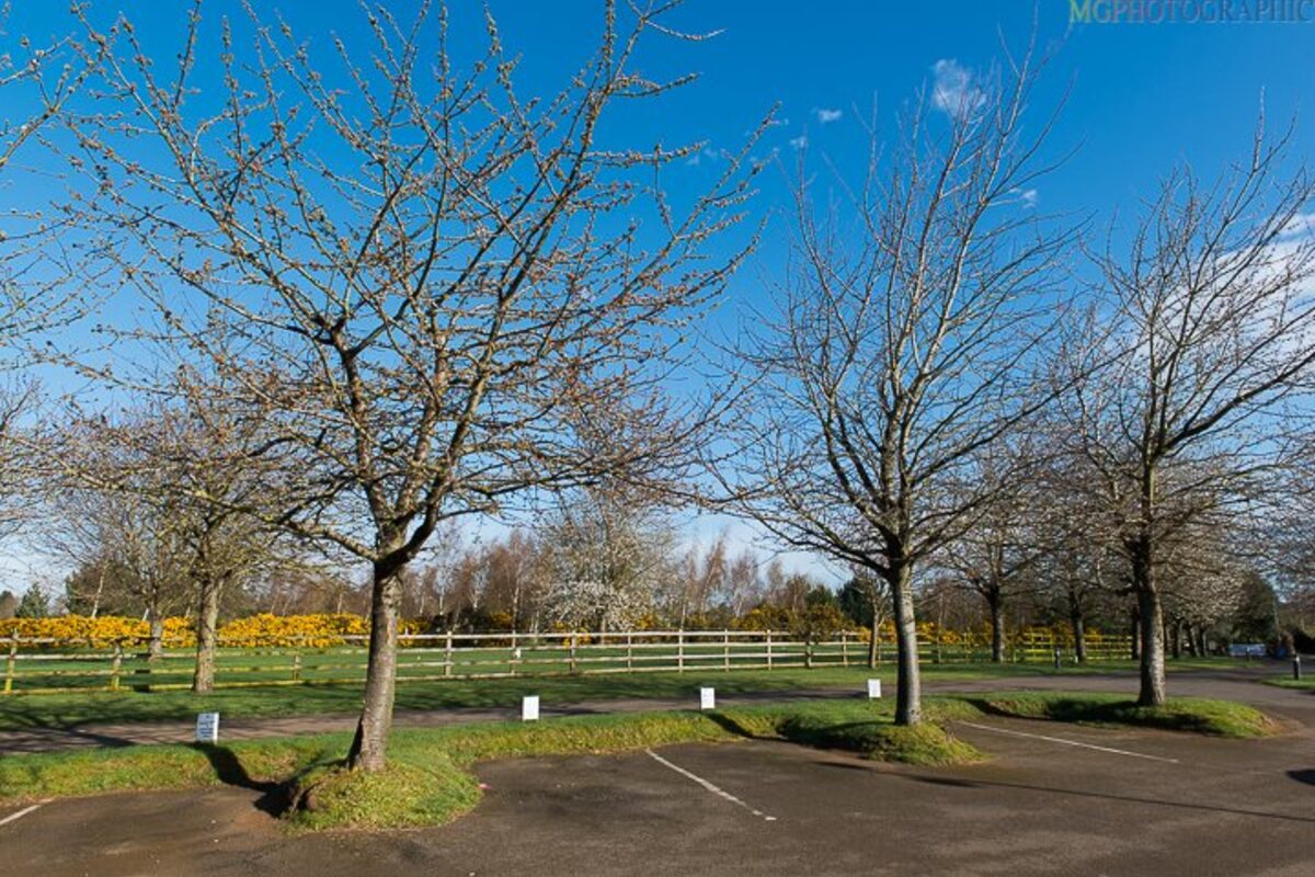 Brampton Heath Golf and Padel Centre