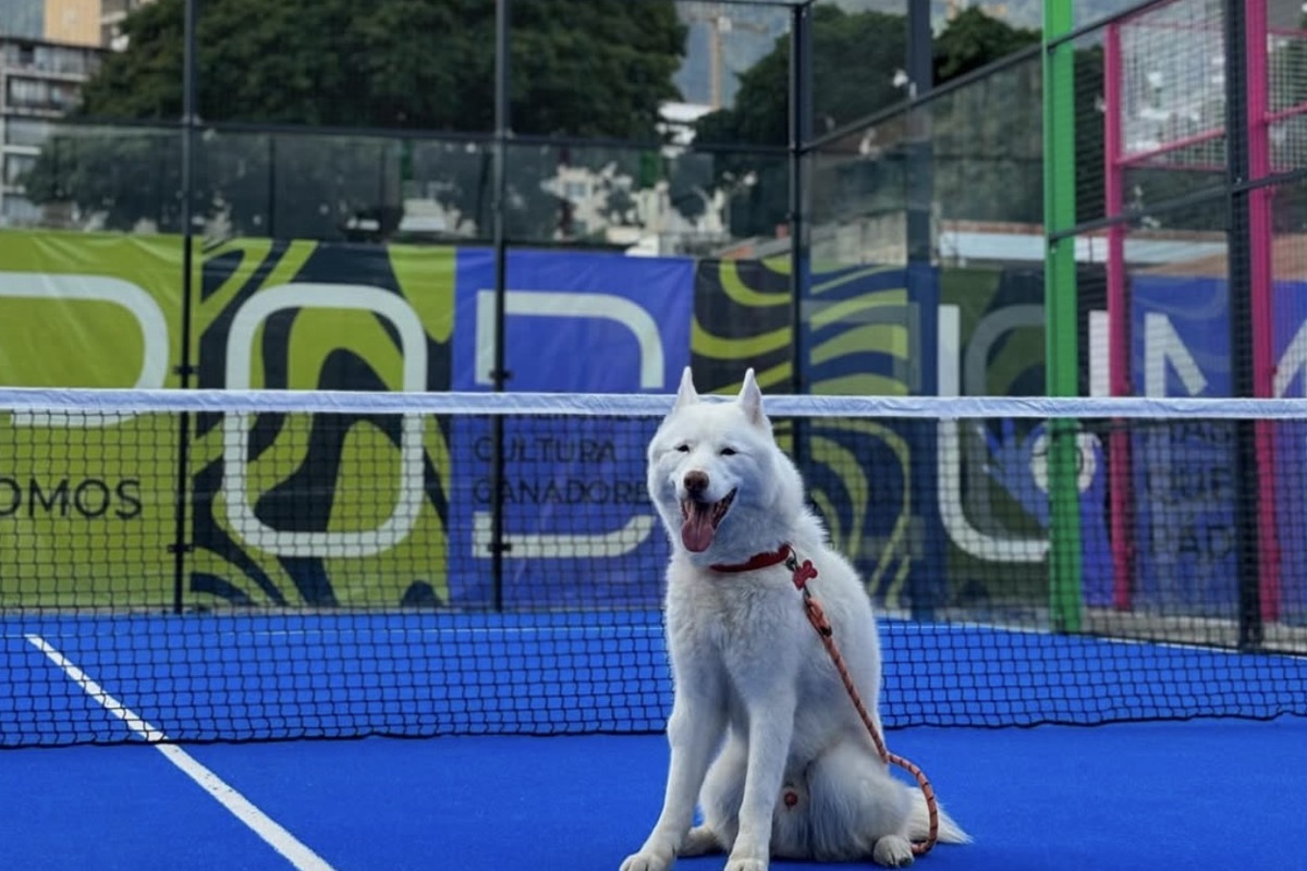 Podium Padel