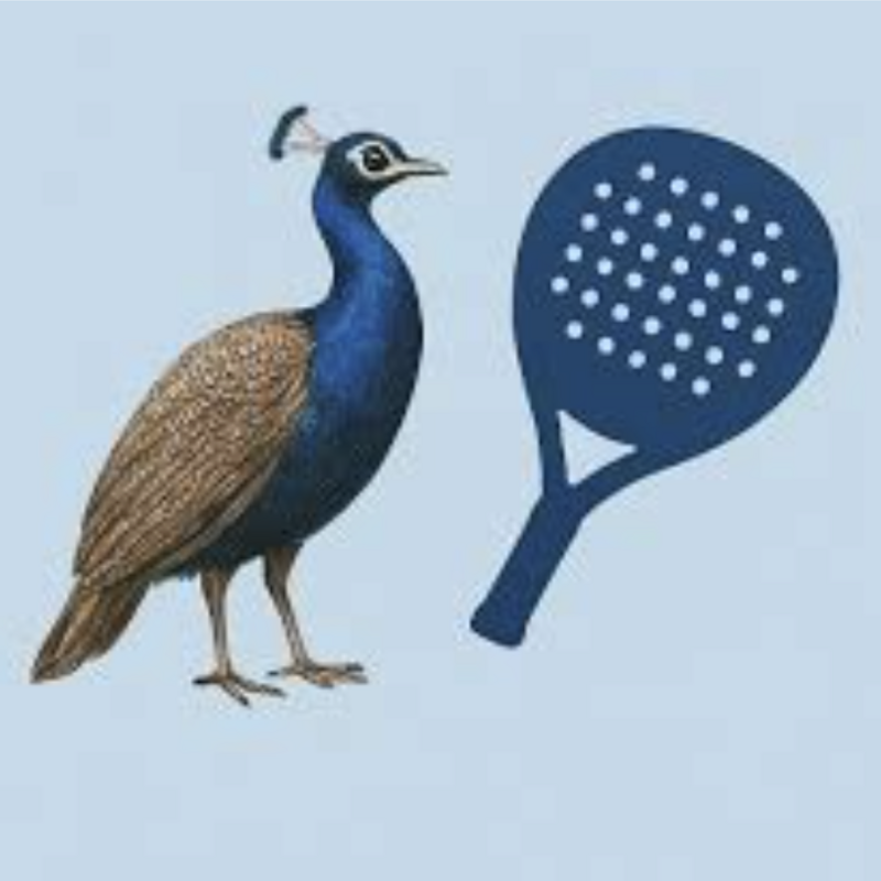 Notleys Padel Club