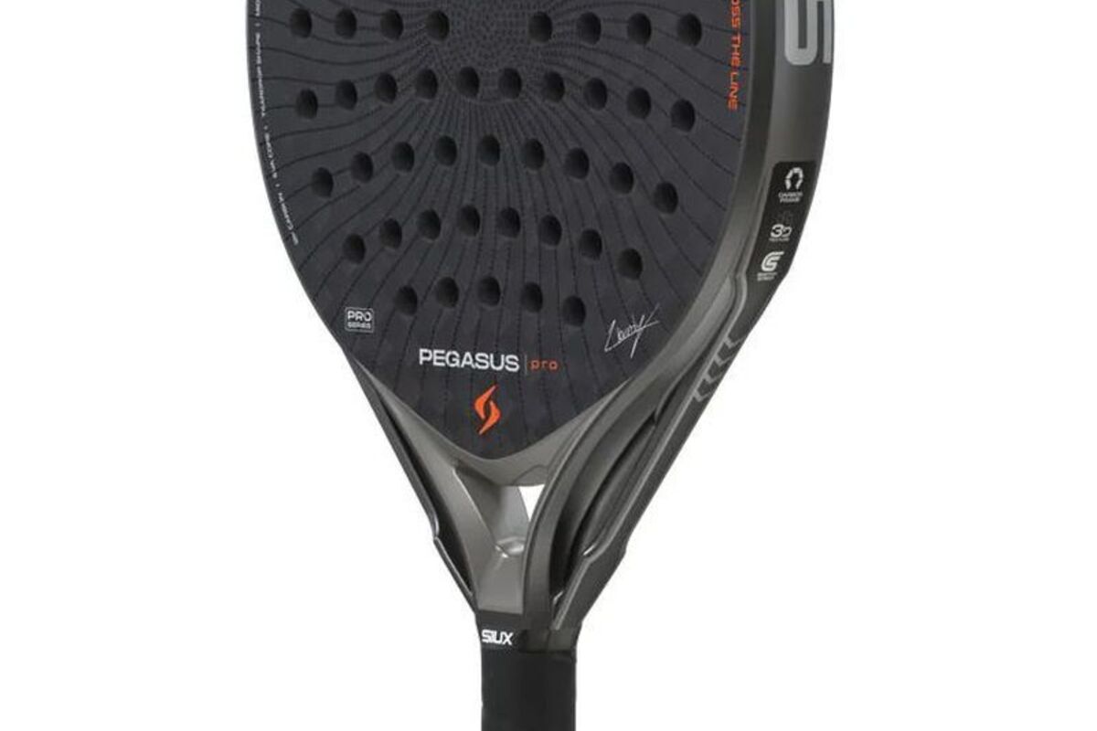 Siux Pegasus Pro 2026