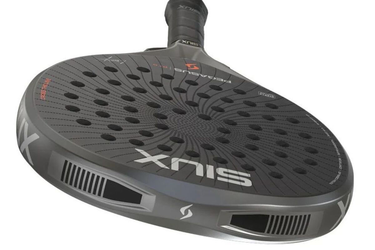 Siux Pegasus Pro 2026