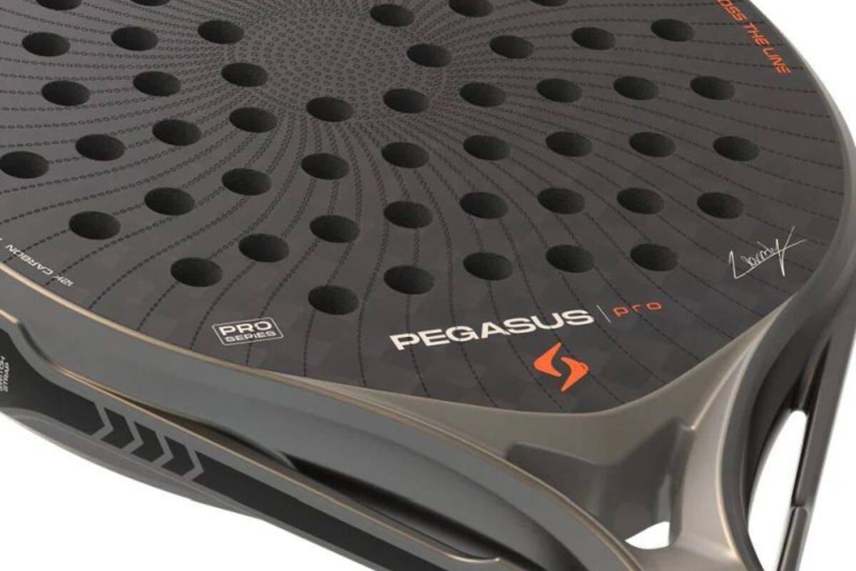 Siux Pegasus Pro 2026