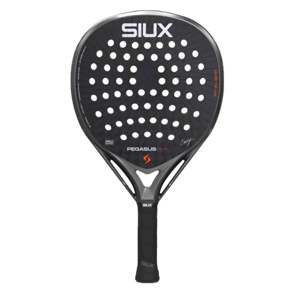 Siux Pegasus Pro 2026