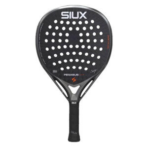 Siux Pegasus Pro 2026